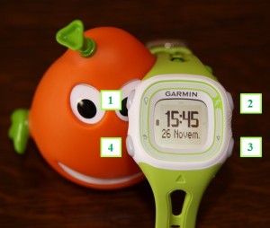 GARMIN 10 présentation