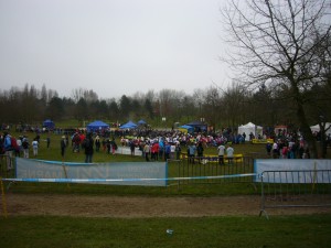 cross temblay6