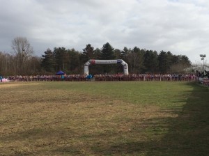 cross chrystelle france2