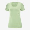 Tee-Shirt SALOMON Agile SS...