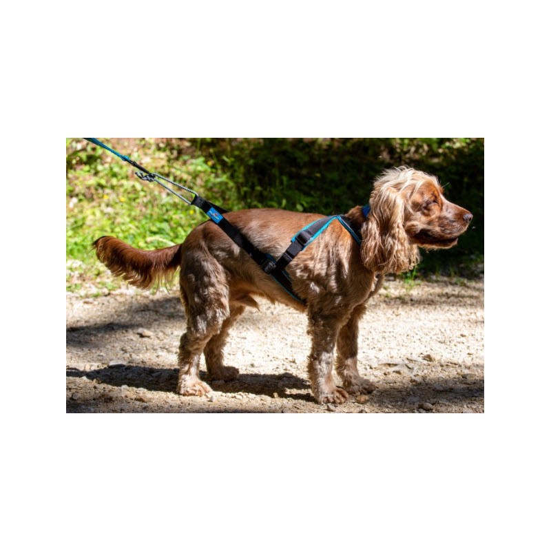 Inlandsis Crosser 2 laisse canicross pour chien