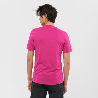 Tee-Shirt SALOMON XA Tee...