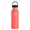 HYDRO FLASK 18 oz Standard...