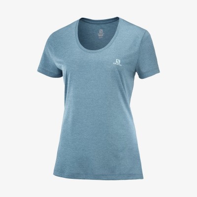 Tee-Shirt SALOMON Agile SS...