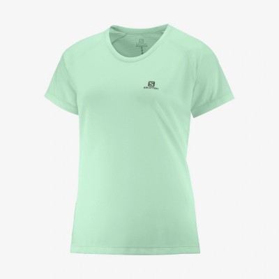 Tee-Shirt SALOMON Cross...