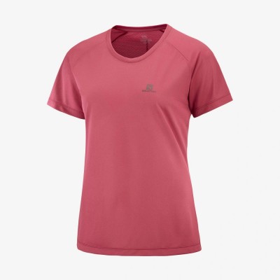 Tee-Shirt SALOMON Cross...