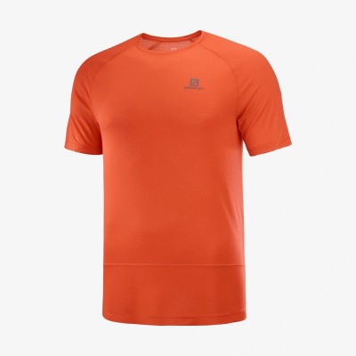 Tee-Shirt SALOMON Cross Run...