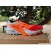 SALOMON Sense Ride 5 Homme...