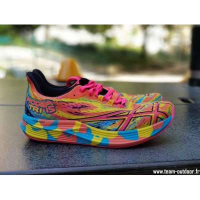 ASICS Noosa Tri 15 Homme...