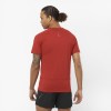 Tee-Shirt SALOMON Cross Run...