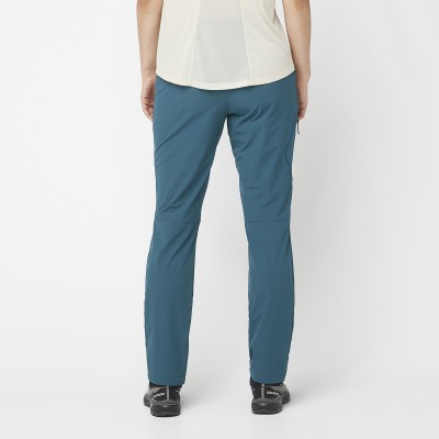Pantalon SALOMON Wayfarer...