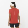 Tee-Shirt SALOMON Sense...