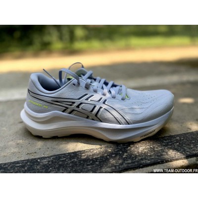 ASICS GT-2000 14 Femme blue...