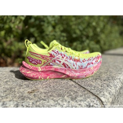 ASICS Noosa Tri 16 Femme...