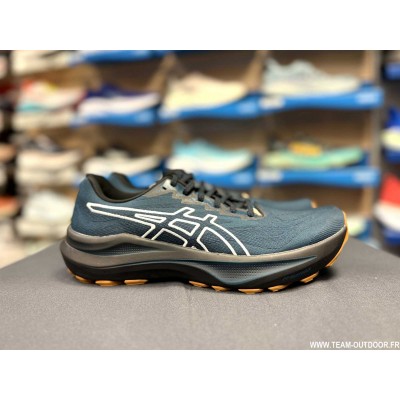 ASICS GT-2000 14 TR Homme...