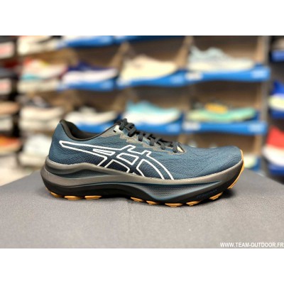 ASICS GT-2000 14 TR Homme...