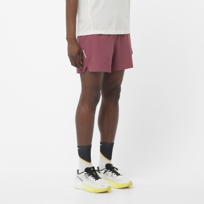 Short SALOMON Shakeout Easy...