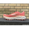 BROOKS Cascadia 19 Femme...