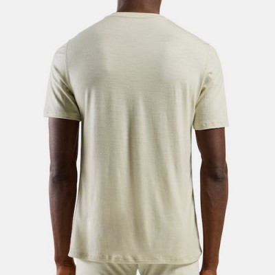 Tee-Shirt ODLO Merino 160...