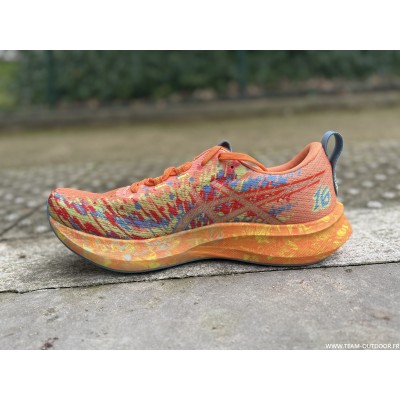 ASICS Noosa Tri 16 Homme...