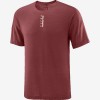 Tee-Shirt SALOMON Ultra SS...