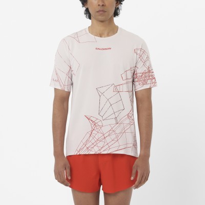 Tee-Shirt SALOMON S/LAB...