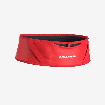 Ceinture SALOMON Pulse Belt...