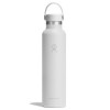 HYDRO FLASK 24 oz Standard...