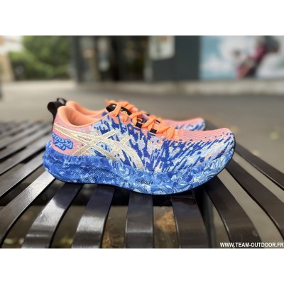 ASICS Noosa Tri 16 Homme...
