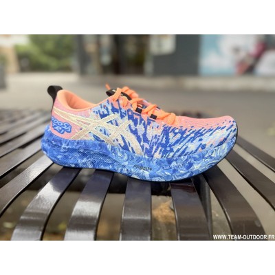 ASICS Noosa Tri 16 Homme...