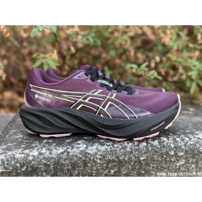 ASICS GT-2000 15 GTX Femme...
