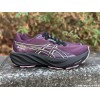 ASICS GT-2000 15 GTX Femme...