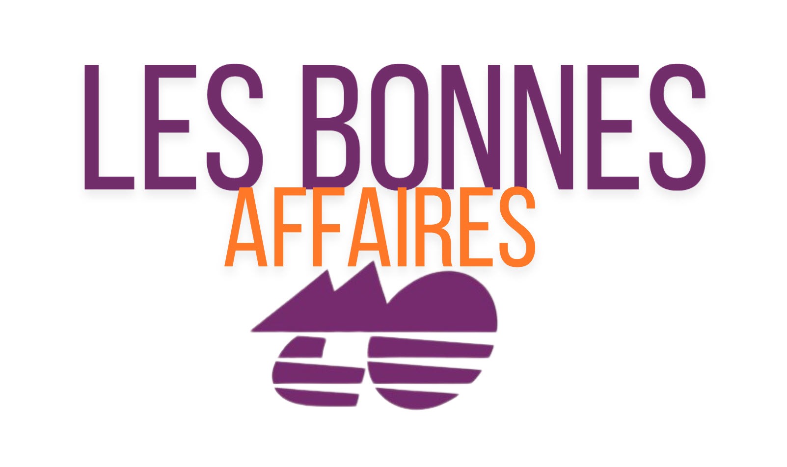 Les Bonnes Affaires TO